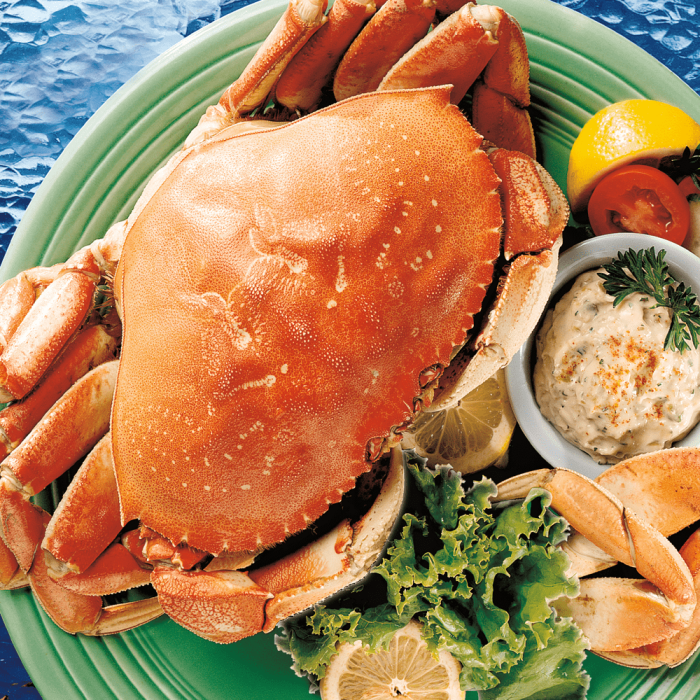 A whole cooked Dungeness crab displayed as a special delicacy.